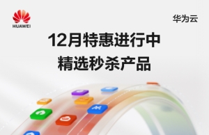 华为云Flexus L实例